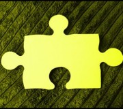 aDSCN7157