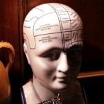 brainCN9902