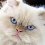 mimiliz_0047