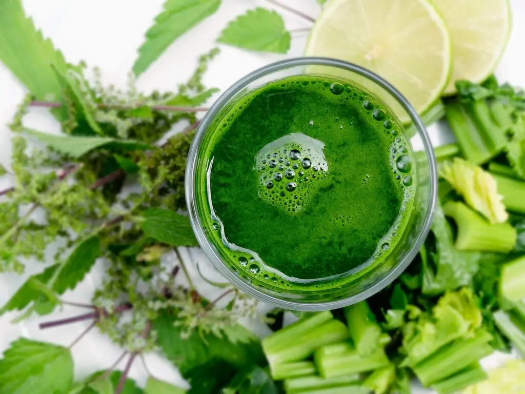 smoothie, vegetable smoothie, healthy smoothie, vegetable juice, healthy, juice, drink, refreshment, detox, colon, detoxify, vitamins, immune system, virus, smoothie, smoothie, smoothie, smoothie, smoothie, juice, juice, juice, detox, detox, detox, immune system