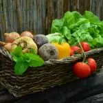 vegetables, basket, vegetable basket, harvest, produce, nature, organic, fresh, fresh produce, fresh vegetables, assorted, food, garden, salad, healthy