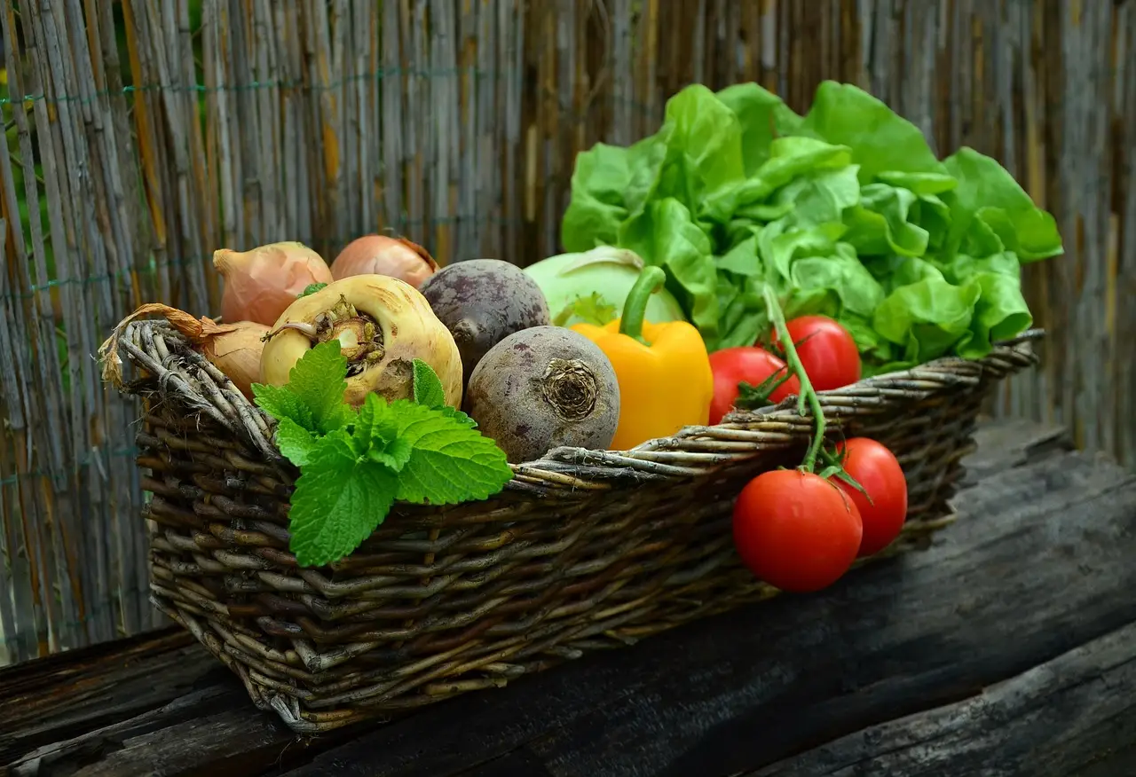 vegetables, basket, vegetable basket, harvest, produce, nature, organic, fresh, fresh produce, fresh vegetables, assorted, food, garden, salad, healthy