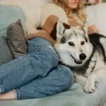A woman lounging with her Husky on a cozy sofa indoors, showcasing a bond between human and pet.